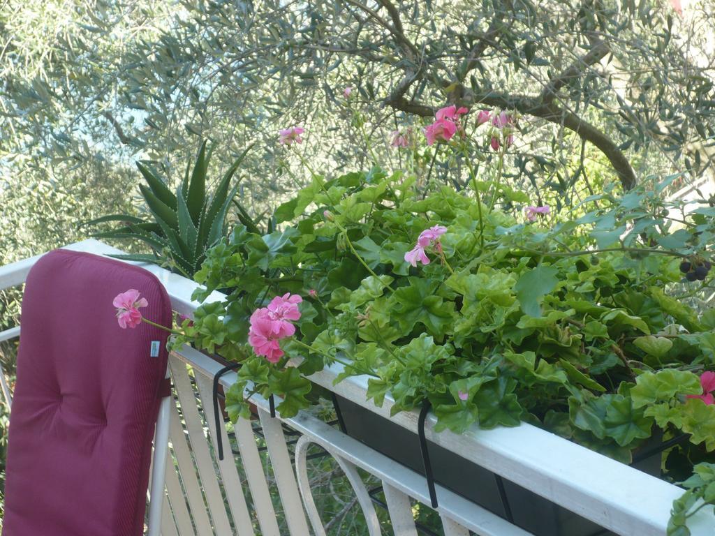 Appartamento Michela Brenzone sul Garda Pokoj fotografie